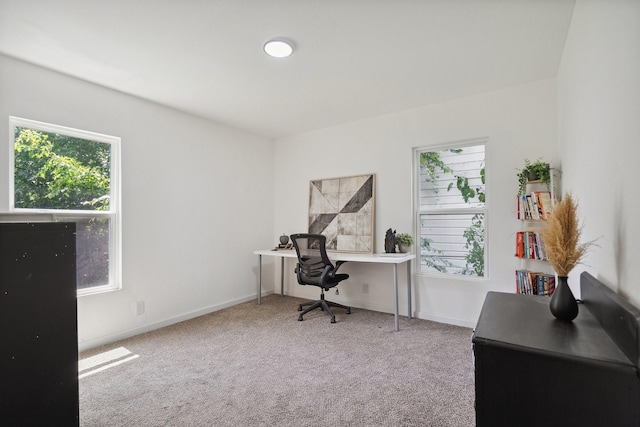 3005 Pate Dr, Fort Worth, TX 76105 - office with carpet floors and baseboards