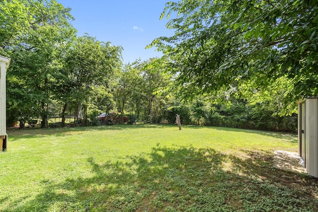 3005 Pate Dr, Fort Worth, TX 76105 - view of yard