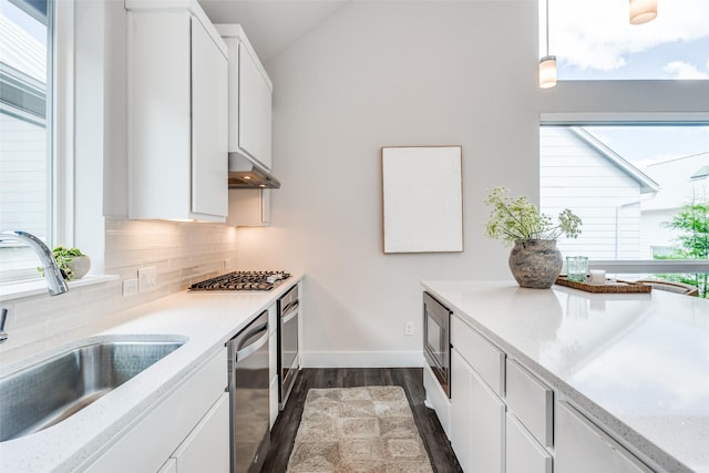 1022 Barsotti Ct, Dallas, TX 75212 - kitchen featuring under cabinet range hood, appliances with stainless steel finishes, dark wood-style flooring, tasteful backsplash, and white cabinets