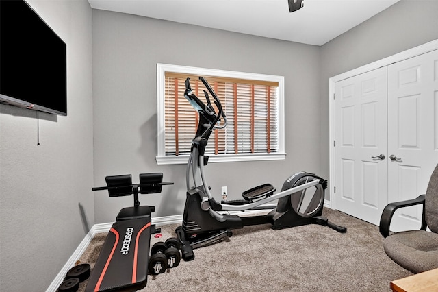 187 Brandon Way, Pottsboro, TX 75076 - workout room with carpet floors and baseboards