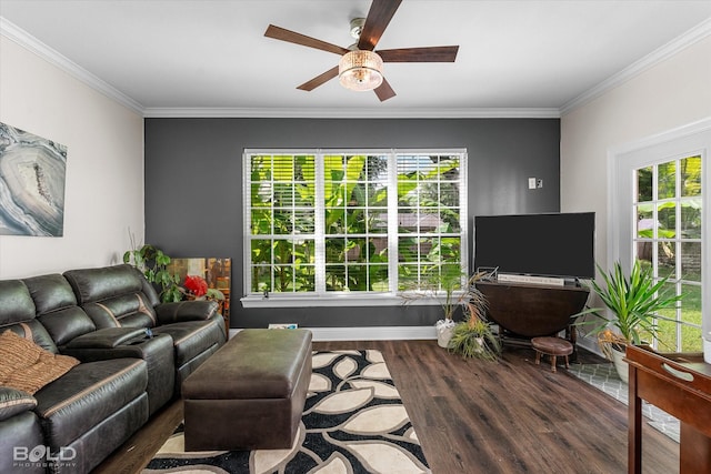 107 Preston Ave, Shreveport, LA 71105 - living room with wood finished floors, healthy amount of natural light, a ceiling fan, and ornamental molding