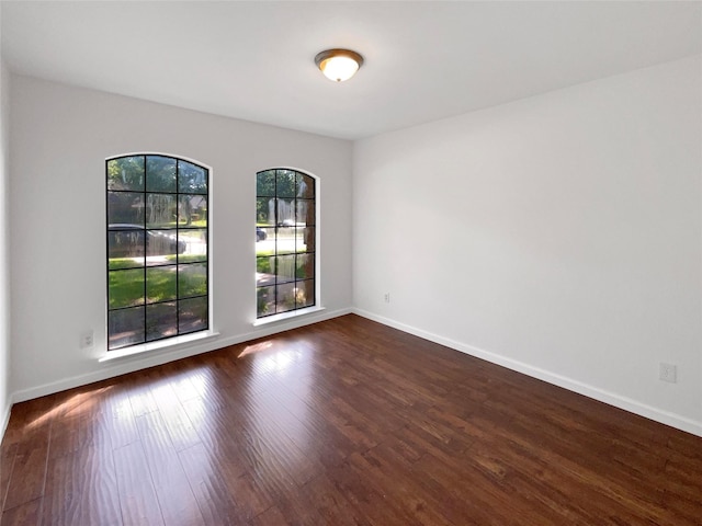 1846 Green Tree Ln, Duncanville, TX 75137 - spare room with dark wood-type flooring