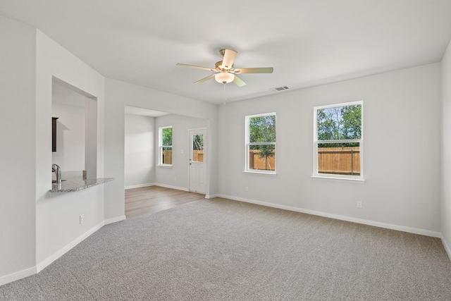 1402 Reiner Dr, Crandall, TX 75114 - spare room with carpet floors, ceiling fan, and plenty of natural light