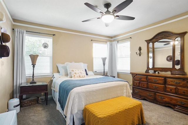 5428 Sabelle Ln, Haltom City, TX 76117 - carpeted bedroom with multiple windows and a ceiling fan
