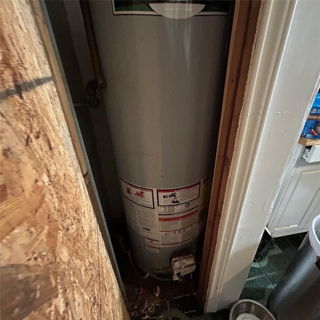 4028 Forbes St, Fort Worth, TX 76105 - utility room featuring gas water heater
