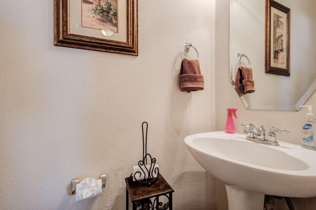 13317 Spinning Glen St, Fort Worth, TX 76040 - bathroom with a sink