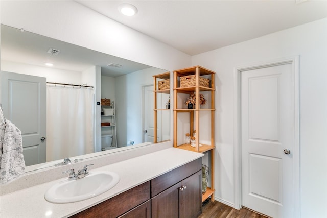 14304 Saddlebred Way, Fort Worth, TX 76052 - bathroom featuring vanity and wood finished floors