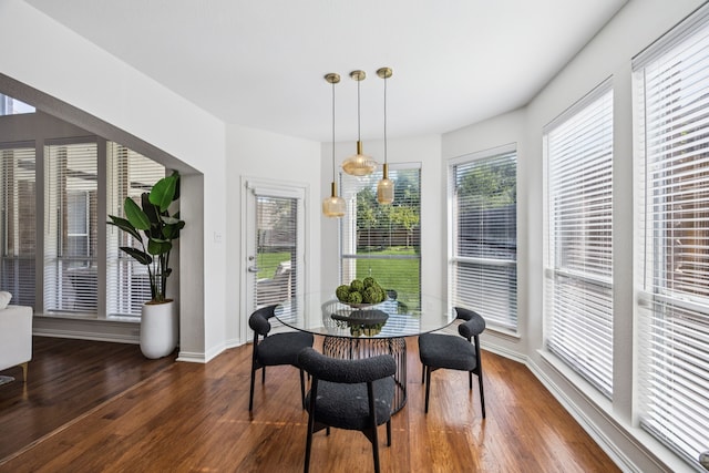 5725 Gerber Ter, Plano, TX 75094 - dining area featuring dark wood-type flooring and healthy amount of natural light