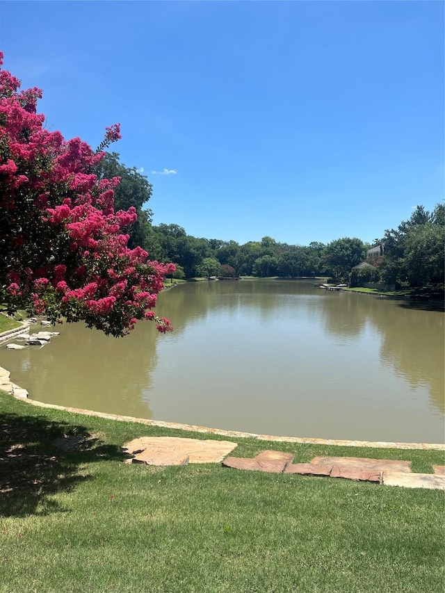 2505 Spring Hill Ln E, Garland, TX 75044 - water view