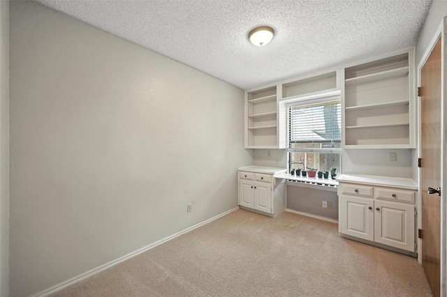 4603 Michelle Dr, Arlington, TX 76016 - unfurnished office featuring light colored carpet and a textured ceiling