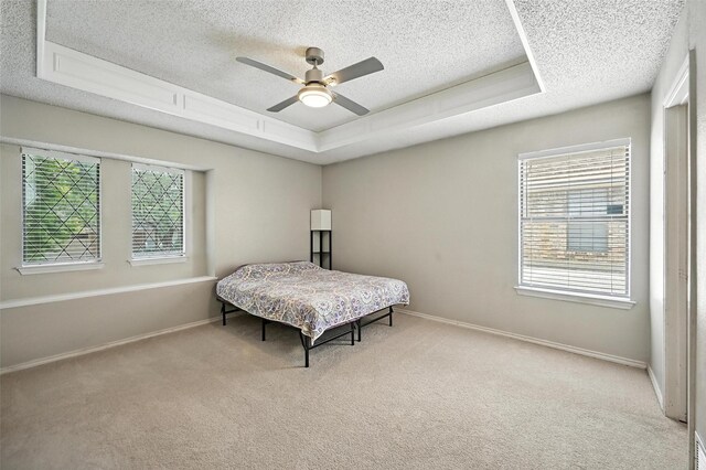 4603 Michelle Dr, Arlington, TX 76016 - bedroom with a tray ceiling, a textured ceiling, multiple windows, and light colored carpet