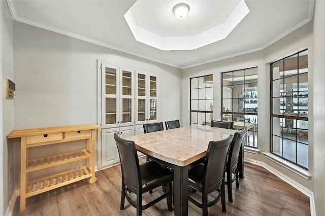 4603 Michelle Dr, Arlington, TX 76016 - dining room featuring wood finished floors, a tray ceiling, and crown molding
