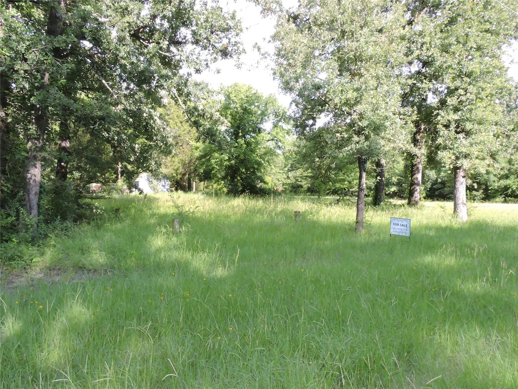 146 Shallowater Rd, Mabank, TX 75156