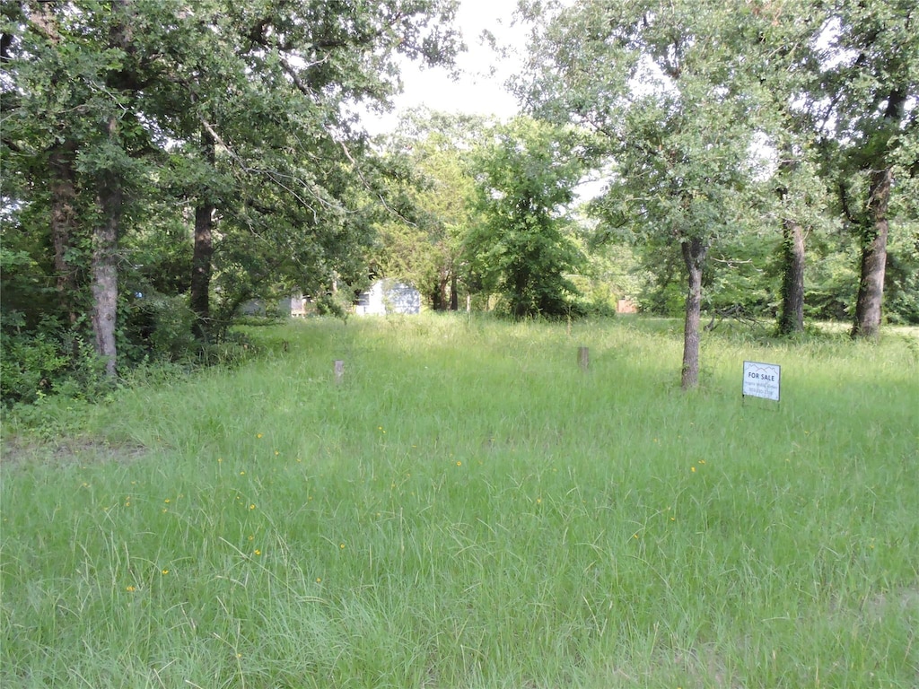 146 Shallowater Rd, Mabank, TX 75156