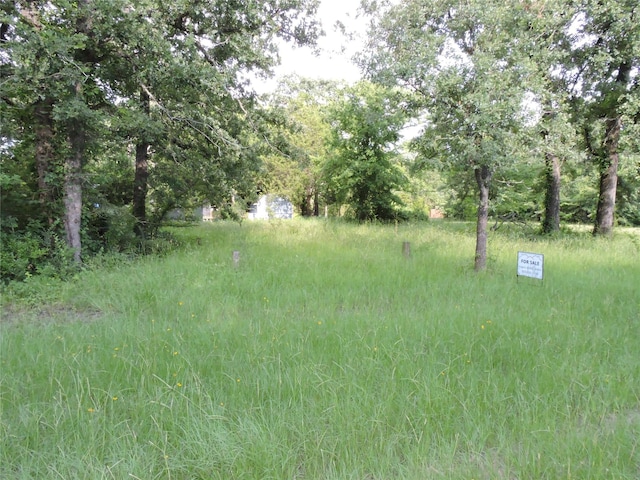 146 Shallowater Rd, Mabank, TX 75156
