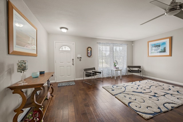 4505 Martingale View Ln, Fort Worth, TX 76244 - foyer with ceiling fan and wood finished floors