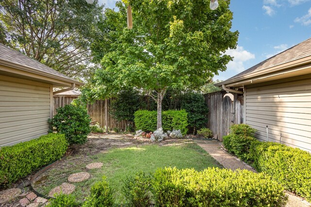 6515 Genstar Ln, Dallas, TX 75252 - view of yard