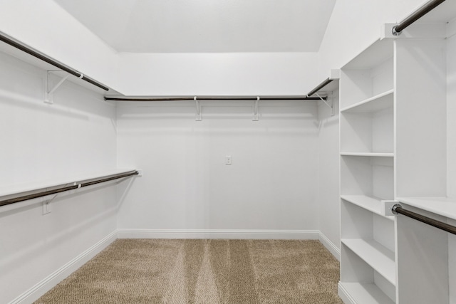 4225 Rustic Timbers Dr, Fort Worth, TX 76244 - spacious closet featuring carpet