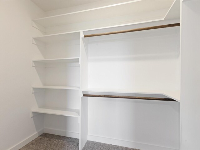 1400 Belzise Ter, Fort Worth, TX 76104 - spacious closet featuring carpet flooring