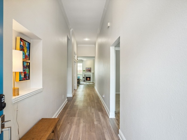 5117 Forest Lawn Dr, Mckinney, TX 75071 - hall with crown molding and wood finished floors