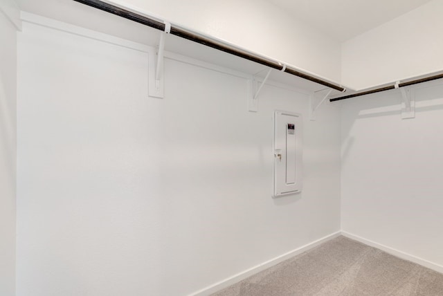 7754 Reese St, Dallas, TX 75114 - spacious closet with electric panel and light carpet