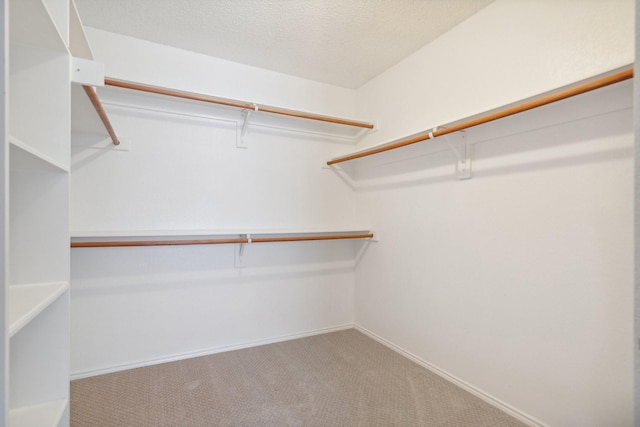 9129 Apollo Ct, Frisco, TX 75033 - walk in closet featuring carpet