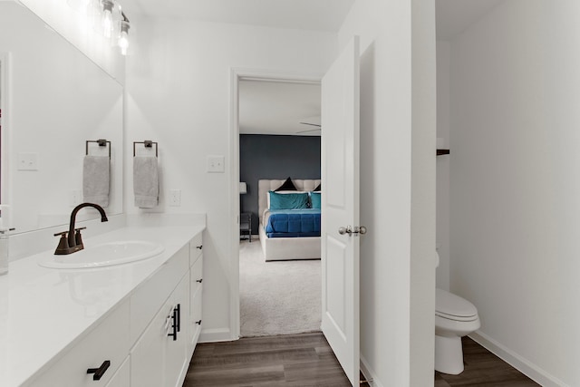418 Madison Way, Princeton, TX 75407 - bathroom featuring vanity, wood finished floors, and connected bathroom