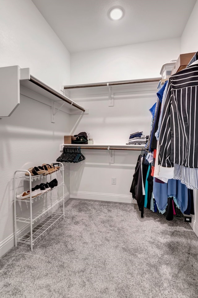 237 Gardenia Dr, Azle, TX 76020 - walk in closet with carpet flooring
