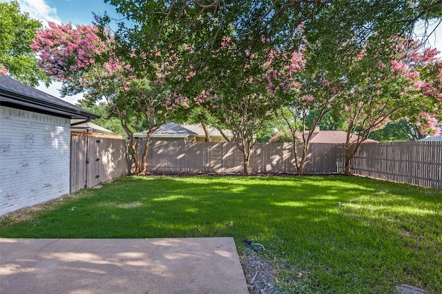 707 Lake Meadows Dr, Rockwall, TX 75087 - view of fenced backyard