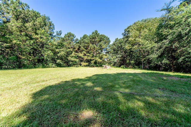 103 Irvin Ln, Mount Vernon, TX 75457 - view of grassy yard with a view of trees