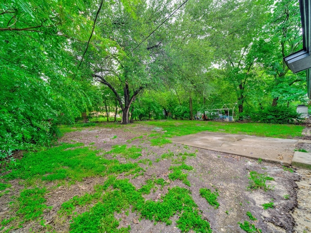 5537 Wheaton Dr, Fort Worth, TX 76133 - view of yard