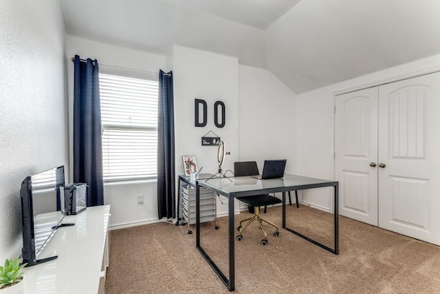 7113 Wavecrest Way, Fort Worth, TX 76179 - office space featuring carpet and vaulted ceiling