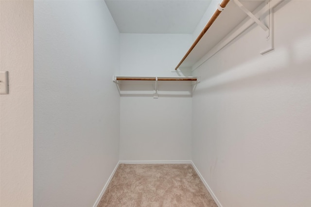 1147 Serendipity Cir, Sanger, TX 76266 - walk in closet with light carpet
