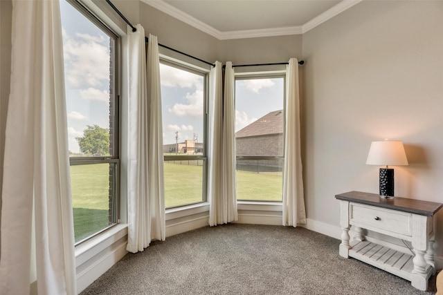 11088 Whispering Ln, Talty, TX 75126 - view of unfurnished sunroom