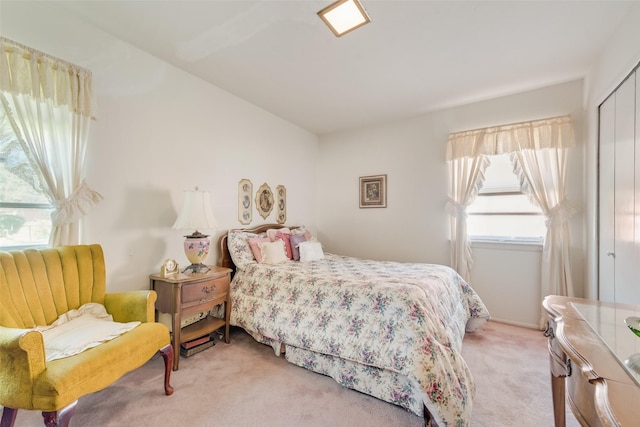 5018 Dupont Dr, Dallas, TX 75216 - bedroom with light carpet and a closet