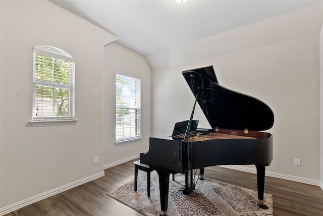 3408 Glen Crest Ln, Denton, TX 76208 - living area featuring wood finished floors and vaulted ceiling