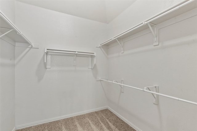 3408 Glen Crest Ln, Denton, TX 76208 - walk in closet with carpet flooring