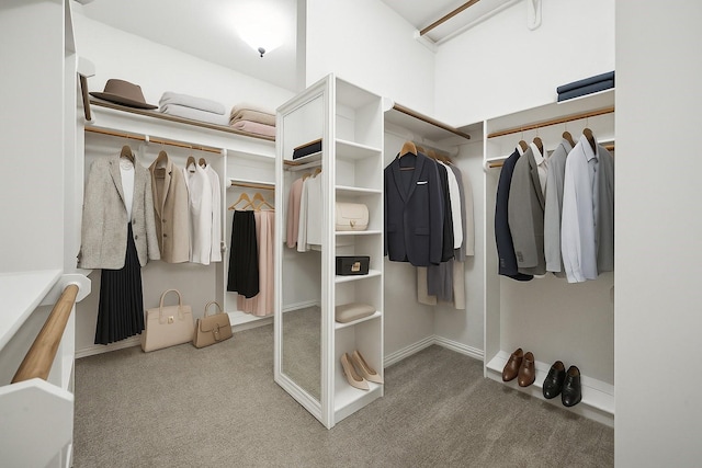 149 Silver Valley Ln, Fort Worth, TX 76108 - spacious closet with carpet floors
