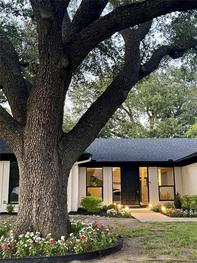 5209 Cordova Ave, Fort Worth, TX 76132 - view of front of house with roof with shingles