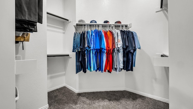 602 Franklin Ln, Lavon, TX 75166 - spacious closet with carpet floors