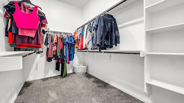 602 Franklin Ln, Lavon, TX 75166 - walk in closet featuring carpet flooring