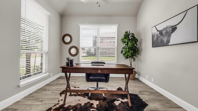 602 Franklin Ln, Lavon, TX 75166 - office featuring healthy amount of natural light, wood finished floors, and ceiling fan