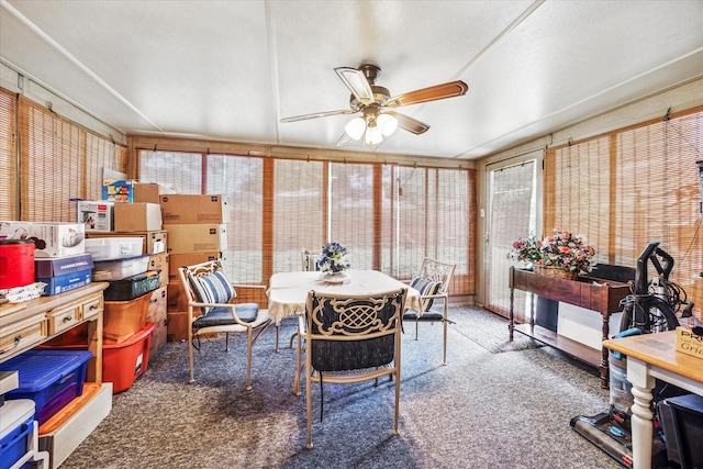 821 Sandpiper Dr, Denton, TX 76205 - sunroom featuring carpet flooring and plenty of natural light