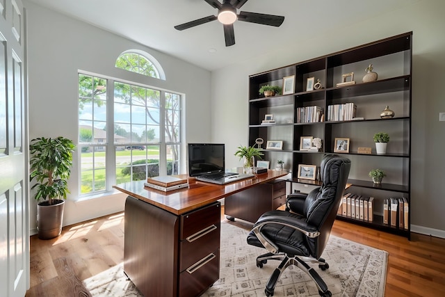 123 Rolling Spring Dr, Aledo, TX 76008 - office space featuring healthy amount of natural light, a ceiling fan, and light wood-style floors