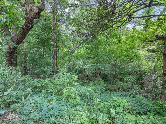 915 Slippery Elm Dr, Ovilla, TX 75154 - view of tree filled area