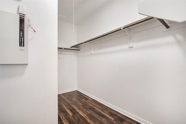 1511 Biltmore Ln, Irving, TX 75063 - spacious closet featuring dark wood finished floors