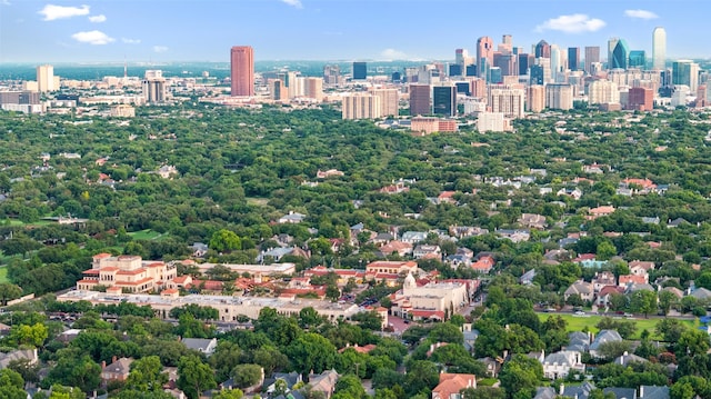 4441 Amherst Ave, University Park, TX 75225 - bird's eye view of city skyline
