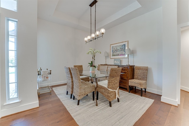 4508 Crystal Mountain Dr, Richardson, TX 75082 - dining room featuring wood finished floors and a tray ceiling