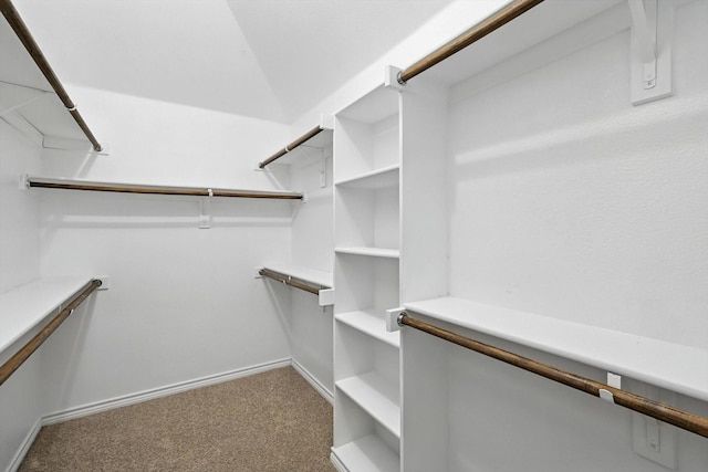 11412 Grapeleaf Dr, Fort Worth, TX 76244 - walk in closet with carpet floors