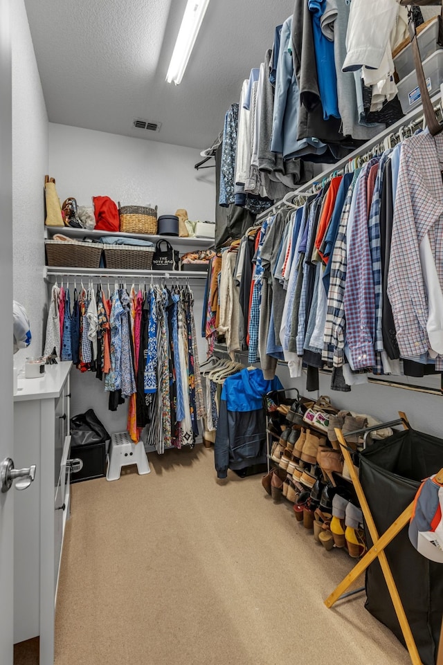 2248 Forest Hollow Park, Dallas, TX 75228 - spacious closet featuring carpet flooring
